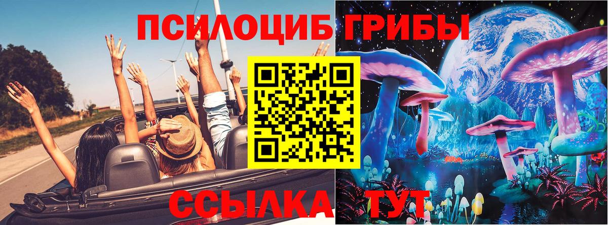 Псилоцибиновые грибы мицелий Красный Сулин